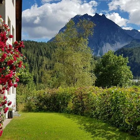 Appartement Melcher Sotcha Dadaint 654 Scuol Exteriör bild